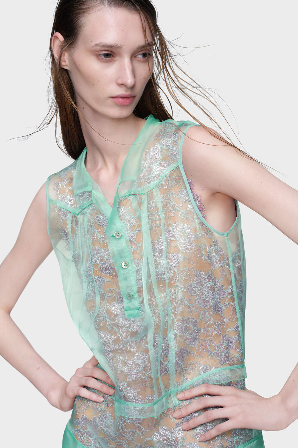 Sheer tea dress