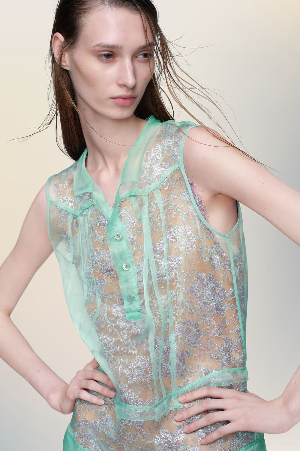 Sheer tea dress